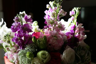 紙間花香 創(chuàng)意紙質(zhì)鮮花，獻(xiàn)給親人生日的獨(dú)特禮物