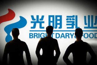 宋清輝 光明乳業企業管理與治理結構漏洞凸顯，亟待深化改革
