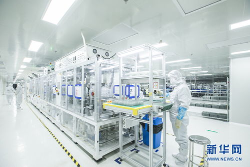 聚焦高質(zhì)量發(fā)展 | 芯光燦爛，點亮黃石老工業(yè)基地轉(zhuǎn)型之路